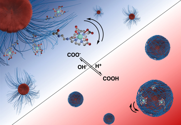 Responsive Nanoparticles